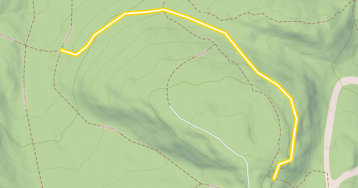 Map preview of Baldy