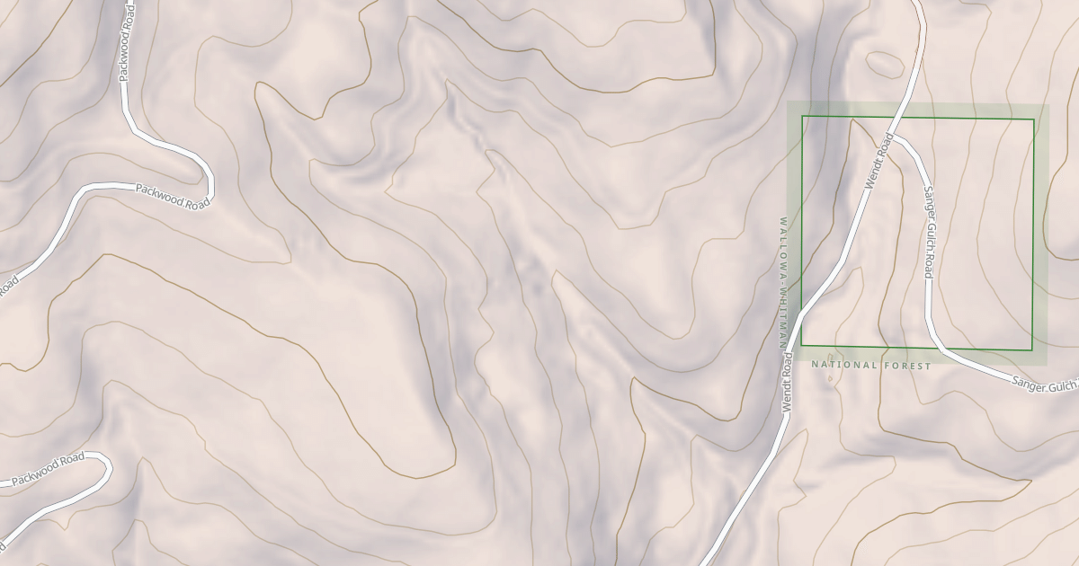 Map preview of USFS National Forest System Roads {8DDABDB9-1C0F-4150-9AB2-10473CB46F6C}