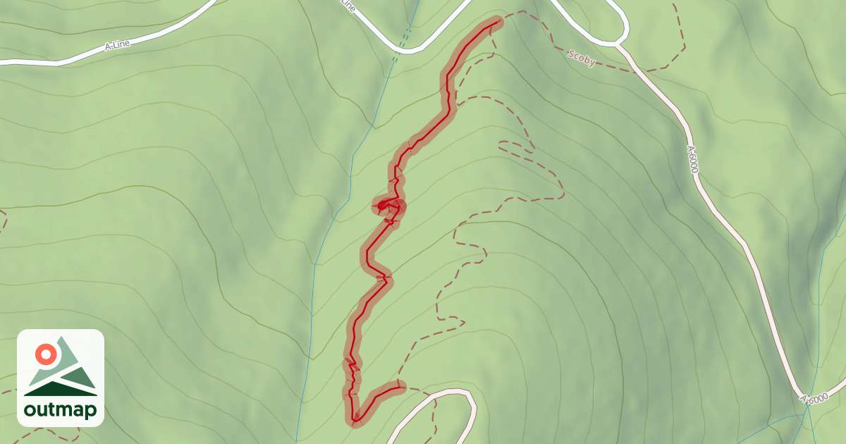 Map of Octagon