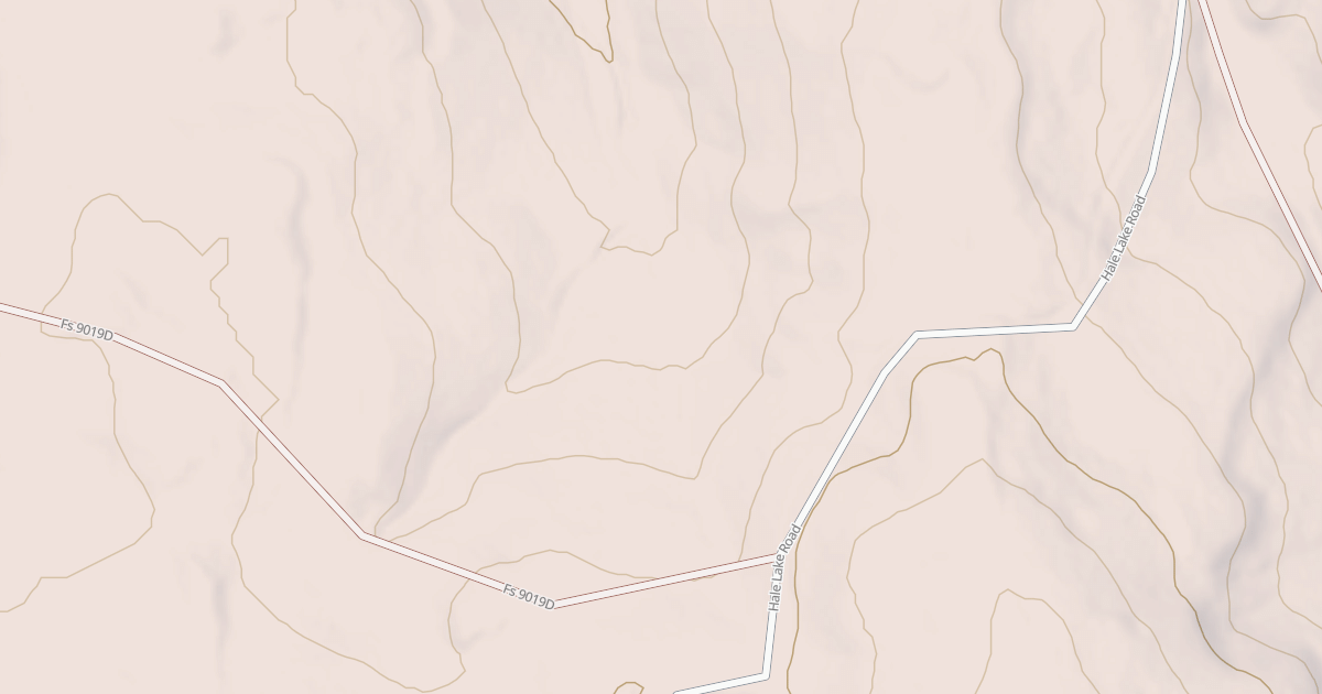 Map preview of USFS Motor Vehicle Use Map Roads {42D3C63B-6C19-40A2-A5E9-CAA6E563DD8A}