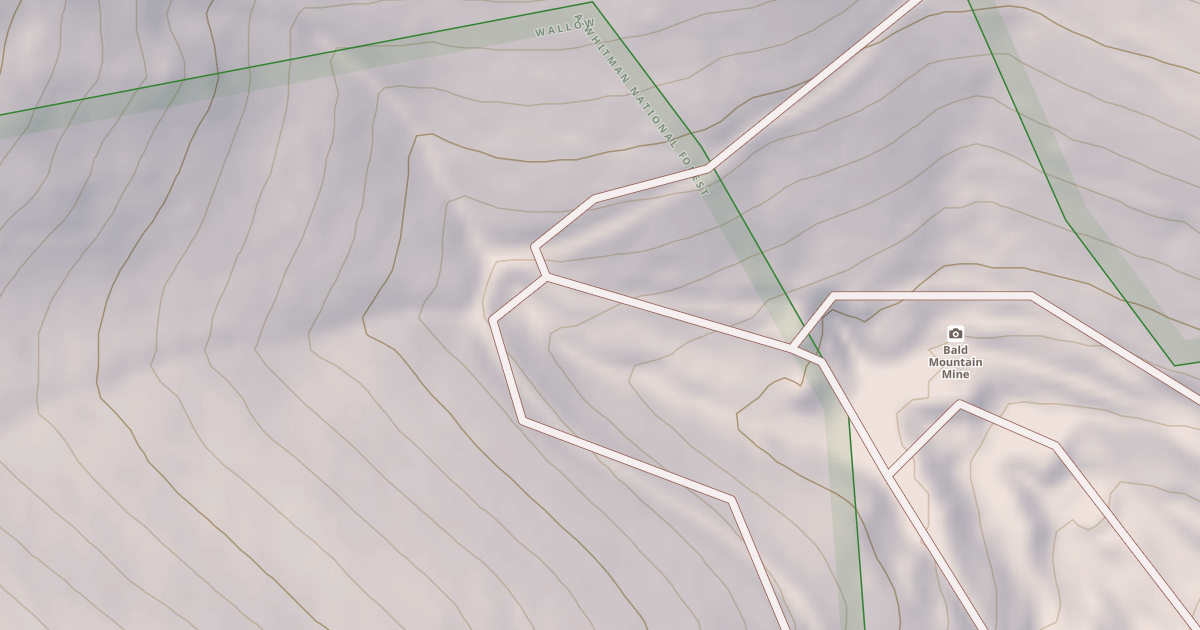 Map preview of USFS National Forest System Roads {6D107483-50AC-4AFC-92FD-E82E87E0C1DD}