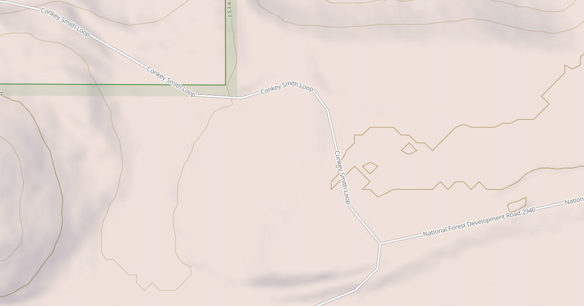 Map preview of USFS Motor Vehicle Use Map Roads {6F769DB4-AF95-4F6E-B564-CB324E1E84EC}