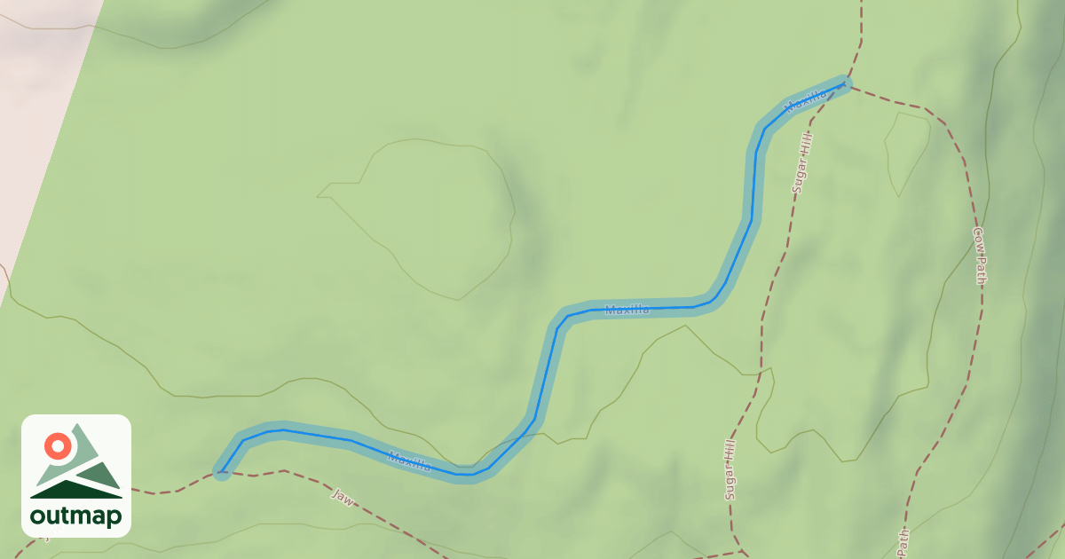 Map of Maxilla