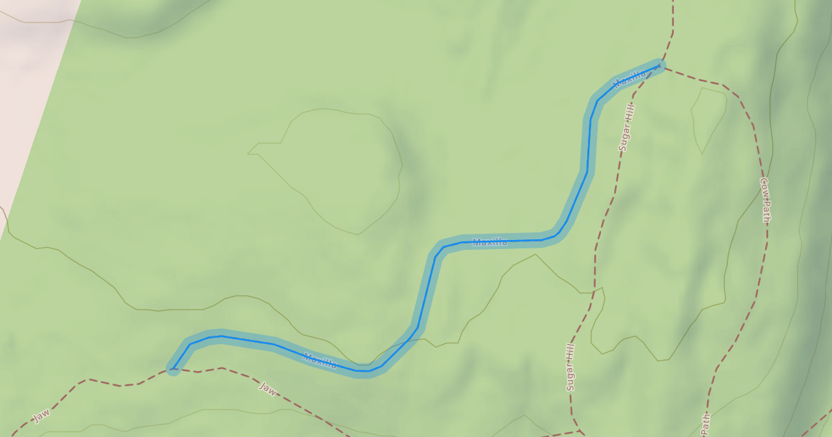 Map preview of Maxilla