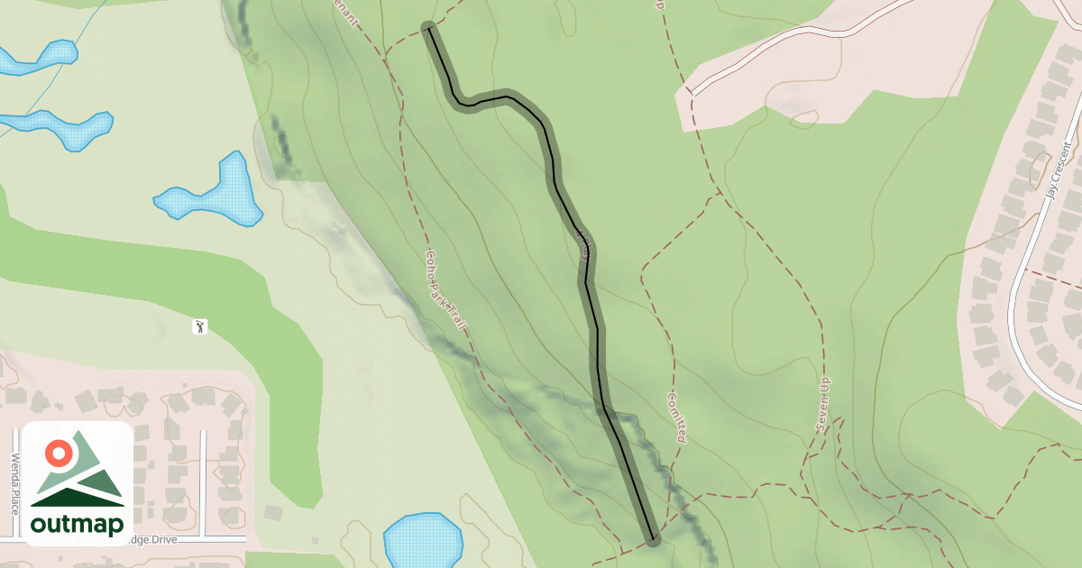 Map of 4 Play