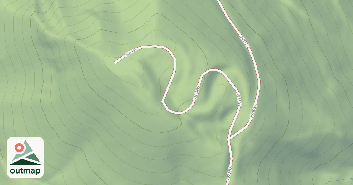 Map of USFS National Forest System Roads {2C09167A-D7A0-49AF-B1E8-0B685158F3EB}
