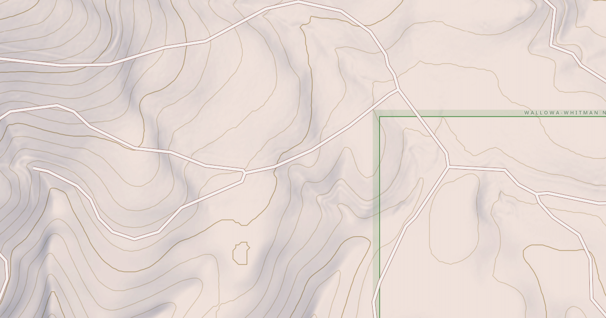 Map preview of USFS National Forest System Roads {A493C40F-AAA9-4108-A8C8-B2C864537E5C}