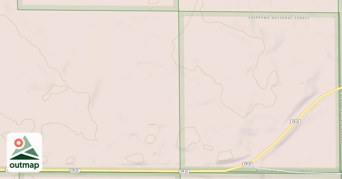Map of TURTLE RIVER LAKE ROAD SPUR C