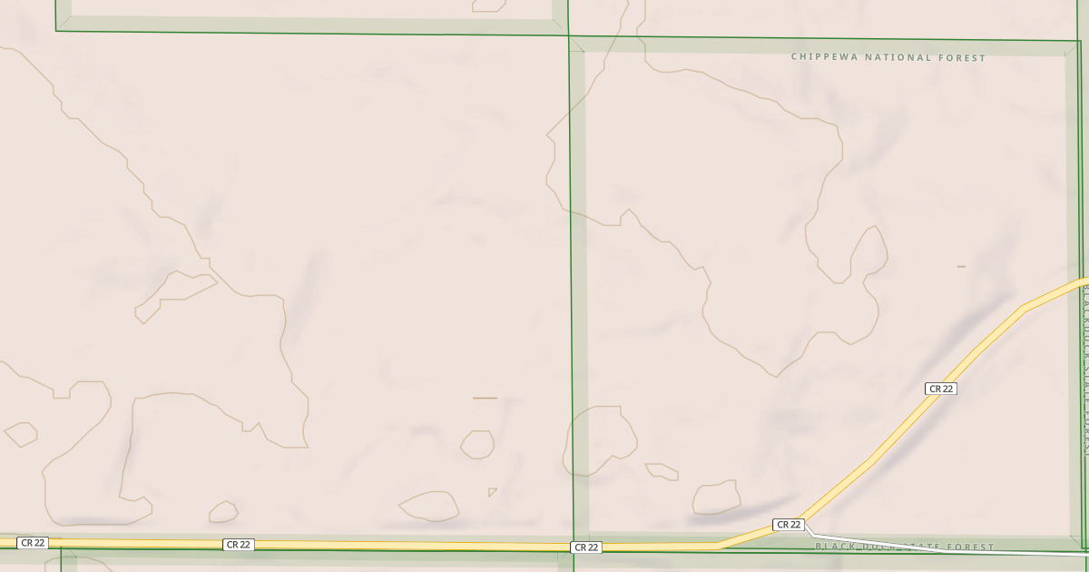 Map preview of TURTLE RIVER LAKE ROAD SPUR C
