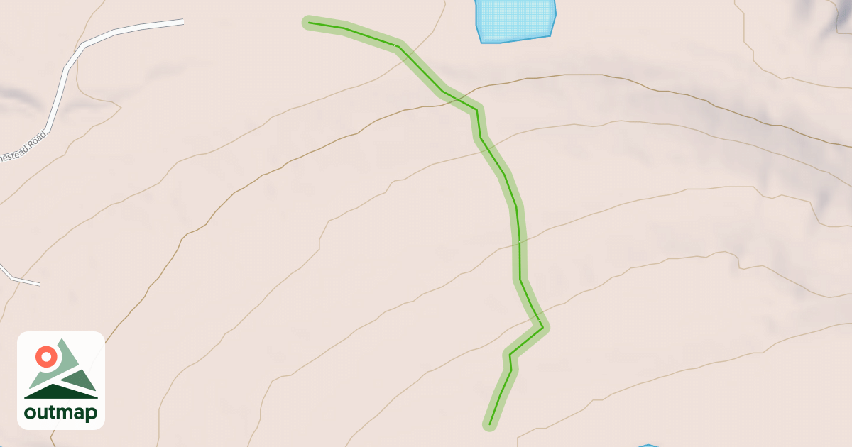 Map of Number Nine