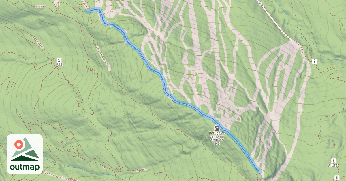 Map of 1 Alleghanys