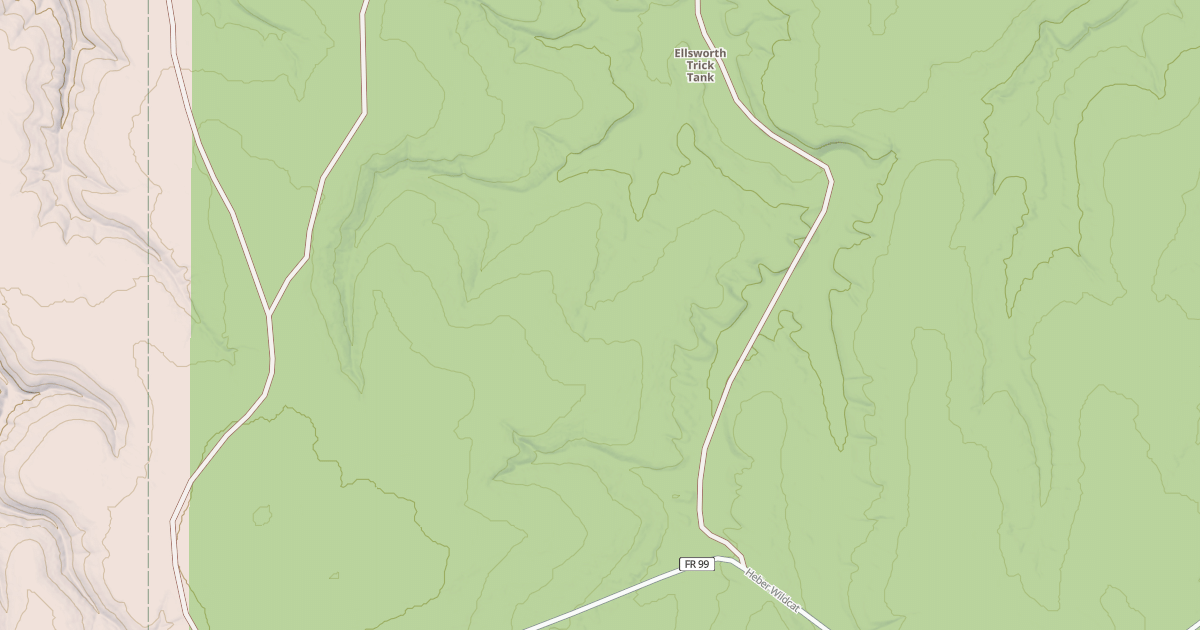 Map preview of USFS National Forest System Roads {A0693063-5625-4D9E-9126-2A46F4D7BAB1}