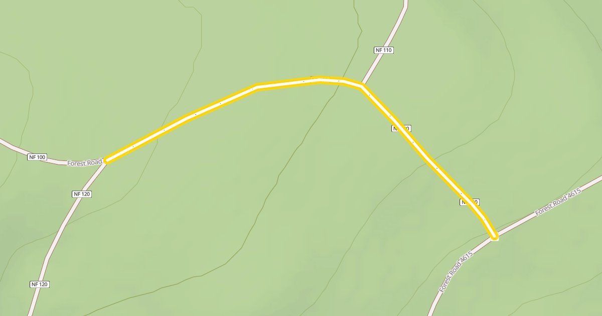 Map preview of Forest Road 4615-100