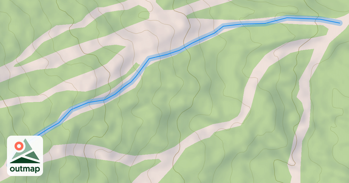 Map of Pine Cone