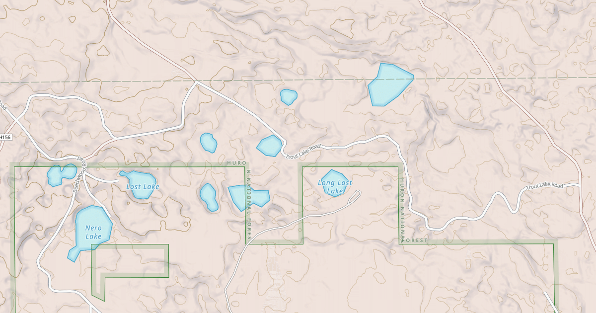 Map preview of TROUT LAKE