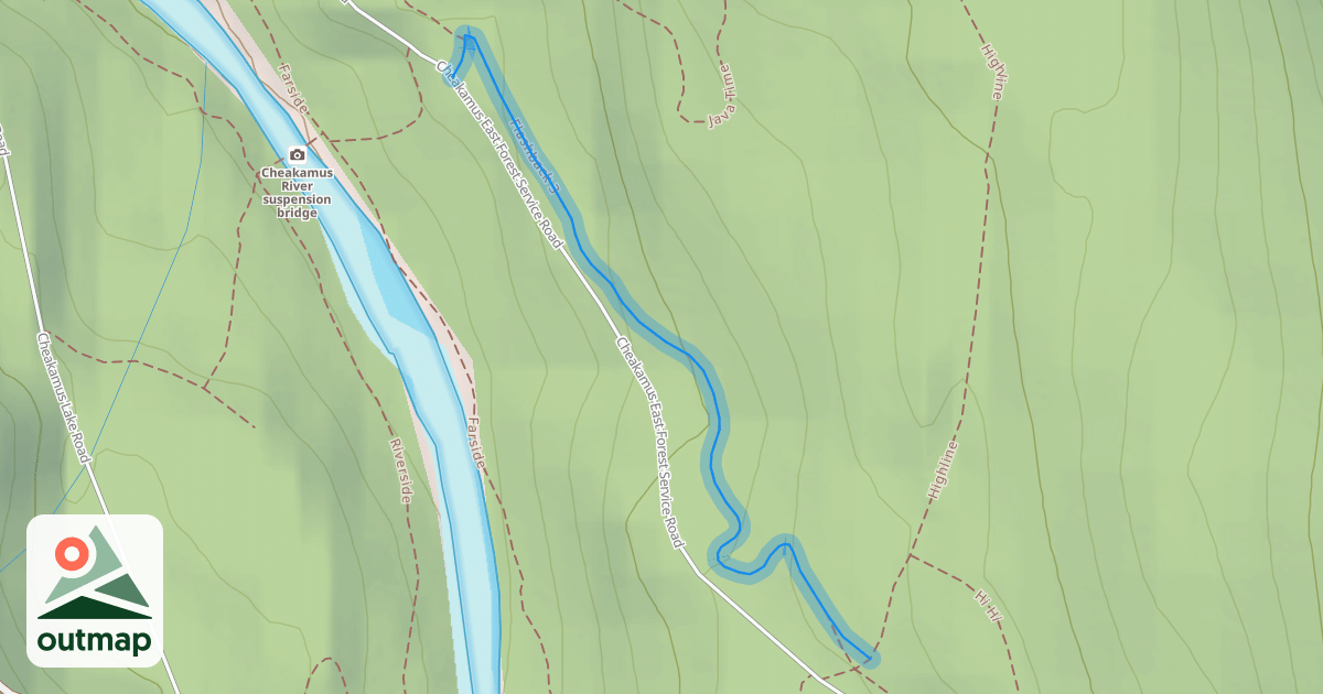 Map of Flashback 3