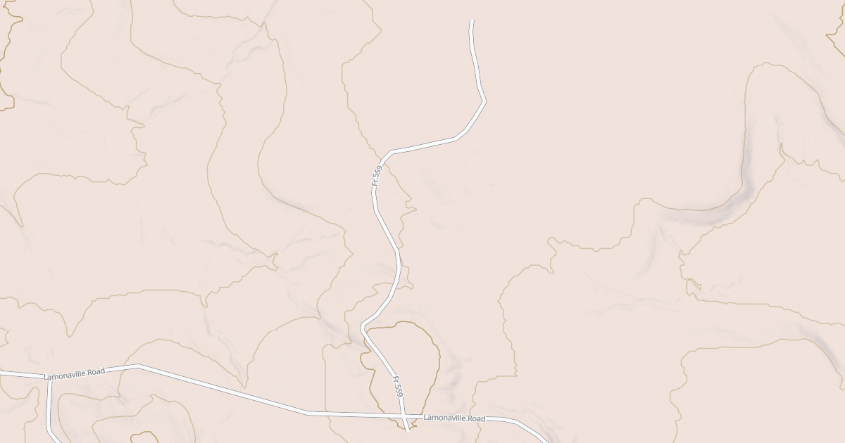 Map preview of W. BIRD DOG
