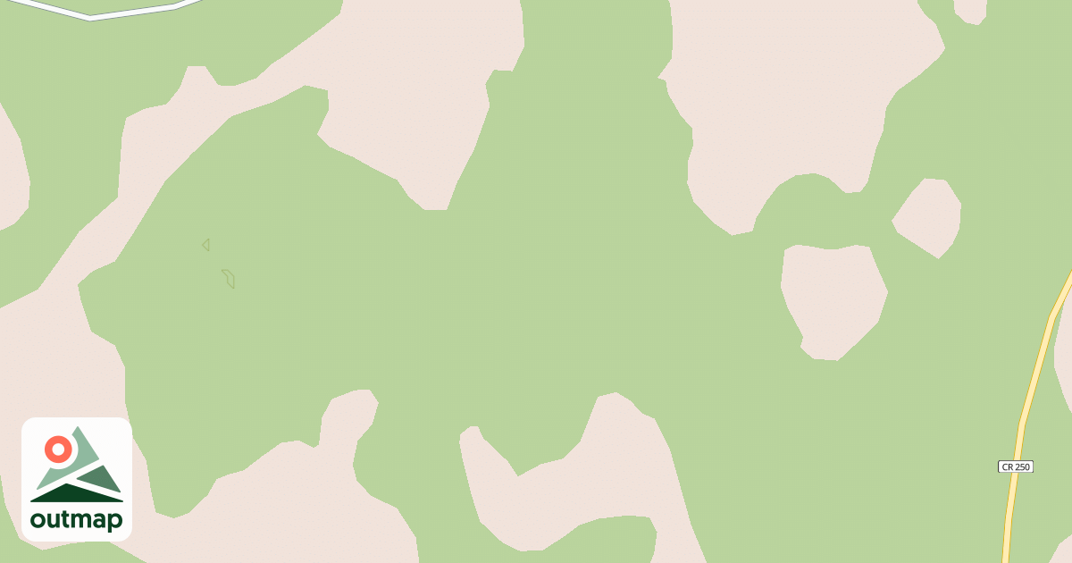 Map of USFS National Forest System Roads {DD353F5F-8D6E-4272-9EDF-43921FC8E376}