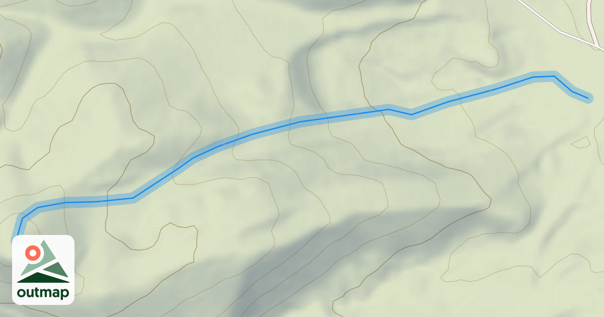 Map of Allan's Alley