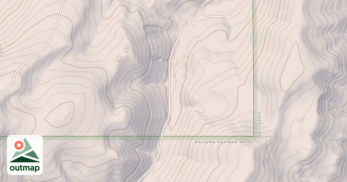 Map of USFS National Forest System Roads {136E591C-A543-42FA-8DFC-ACD2E31CC361}