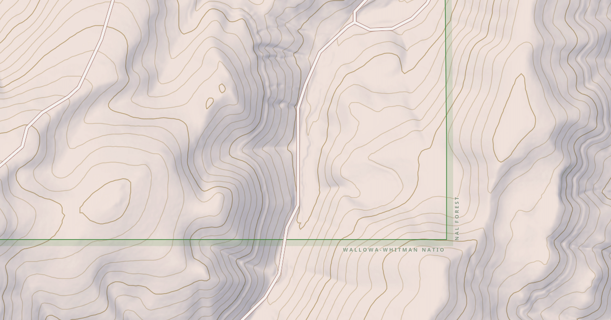 Map preview of USFS National Forest System Roads {136E591C-A543-42FA-8DFC-ACD2E31CC361}