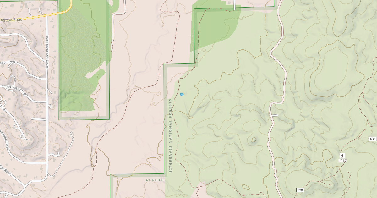 Map preview of USFS National Forest System Roads {2EEAA342-EDAB-485E-A4F0-28F88E0E008E}