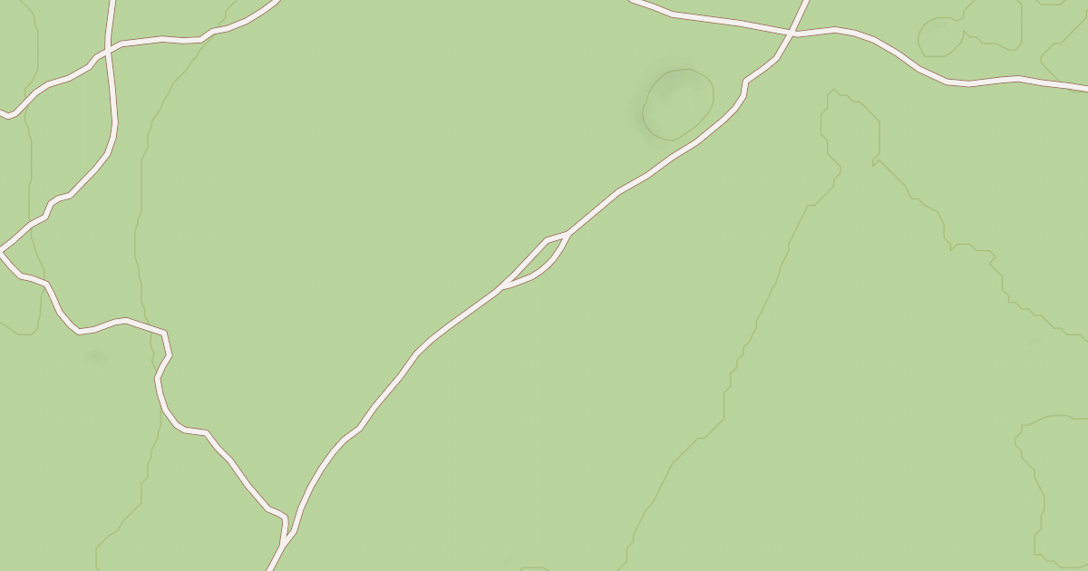 Map preview of USFS National Forest System Roads {82F712C5-CA56-4394-9A27-01F03076EA98}