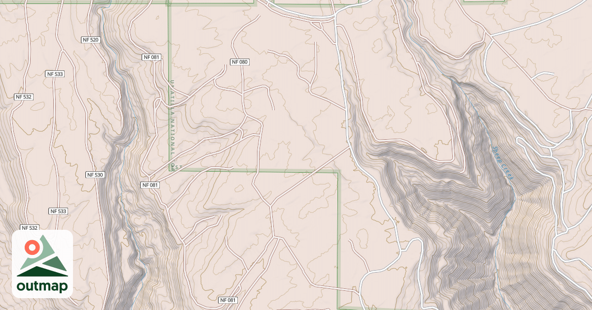Map of USFS National Forest System Roads {5237C34D-6DBD-4A3B-8450-F0A3378174F5}