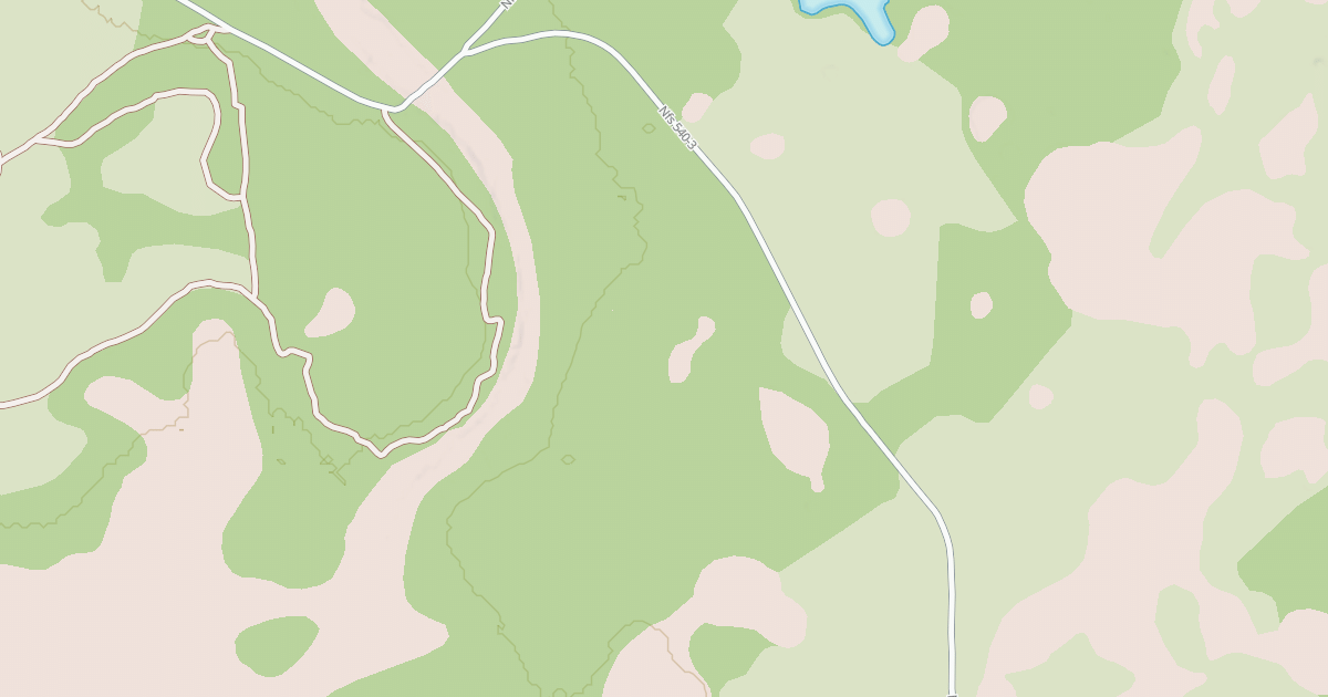 Map preview of USFS National Forest System Roads {7D77E105-CEB5-4197-9739-D605F081F918}