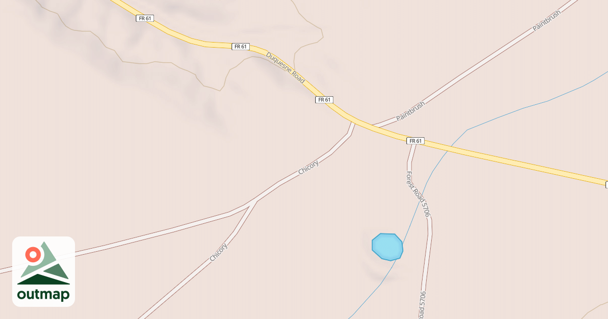Map of CHICORY