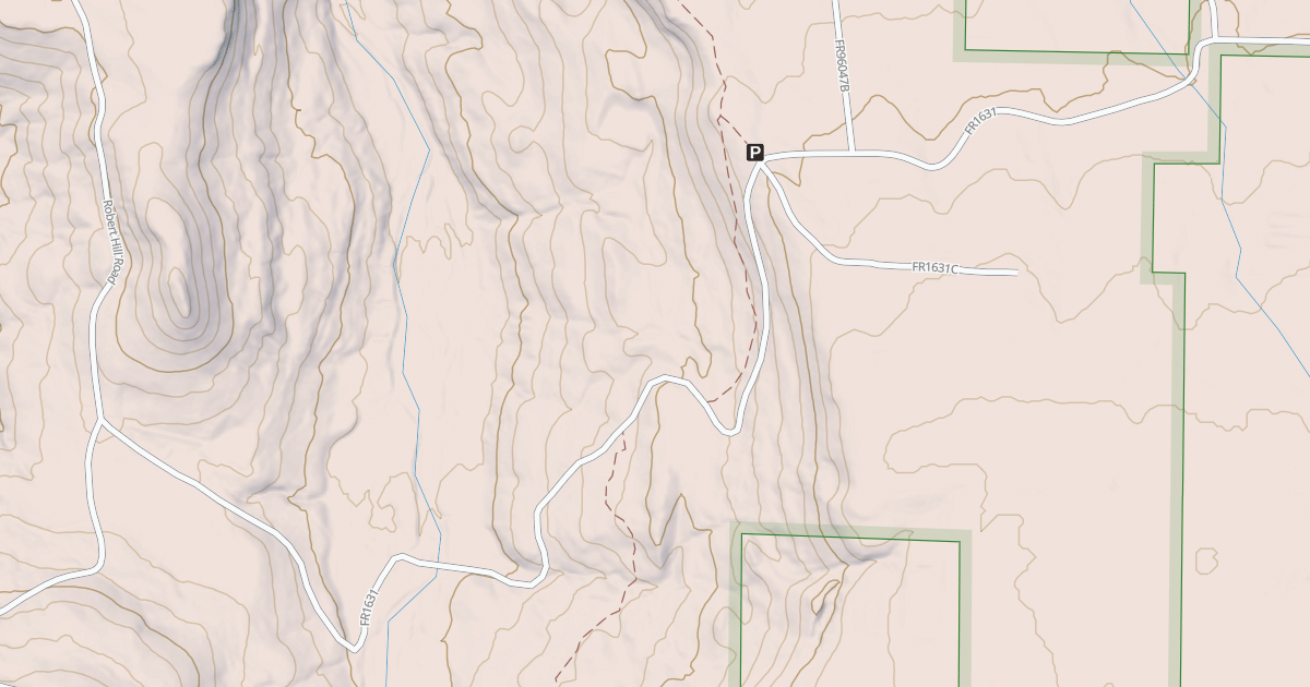 Map preview of USFS Motor Vehicle Use Map Roads {C76FD841-075B-4BDD-A9C3-A96BADA73D86}
