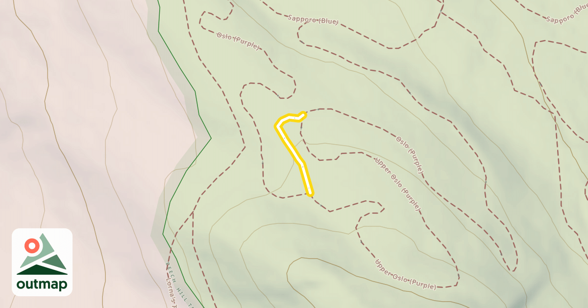 Map of Oslo (Purple)