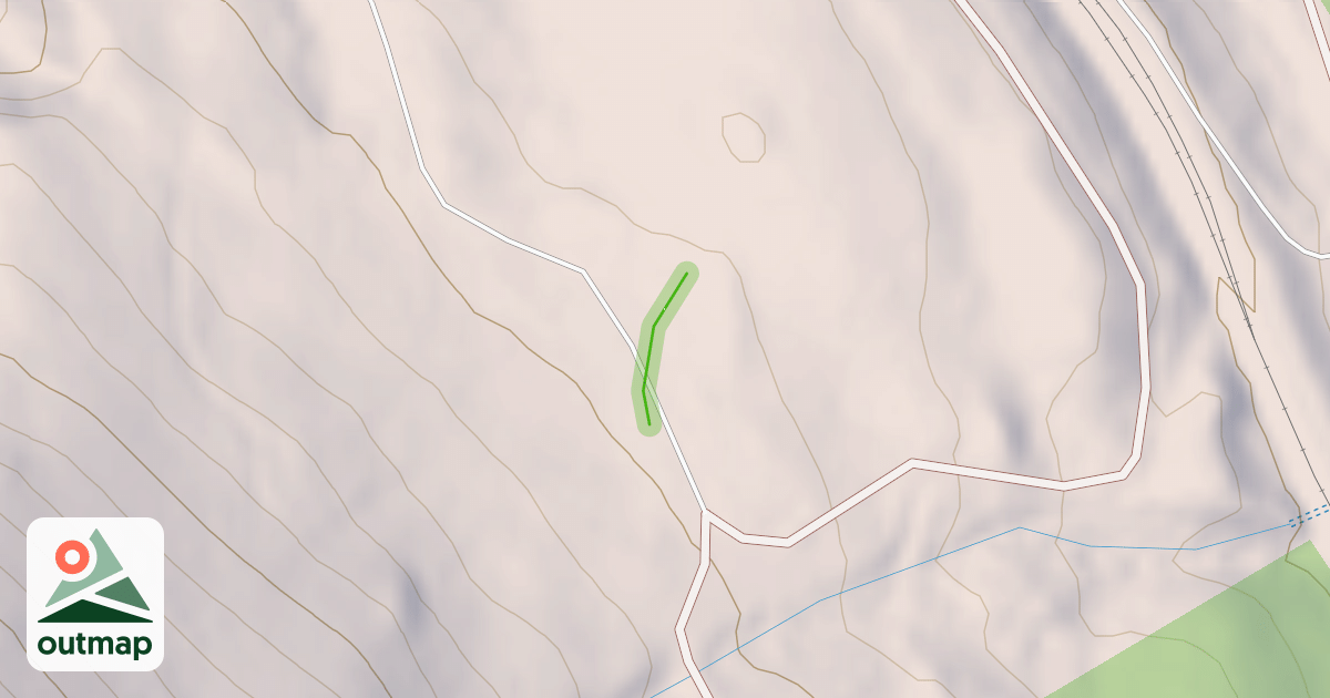 Map of Turtle