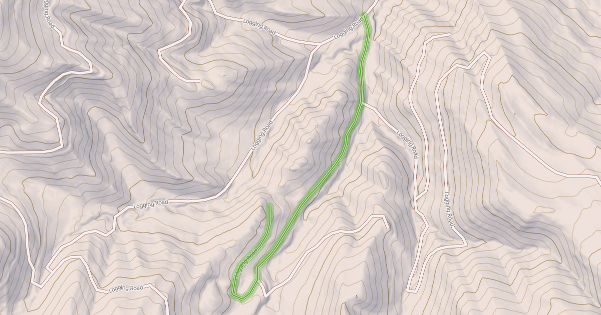 Map preview of Logging Road