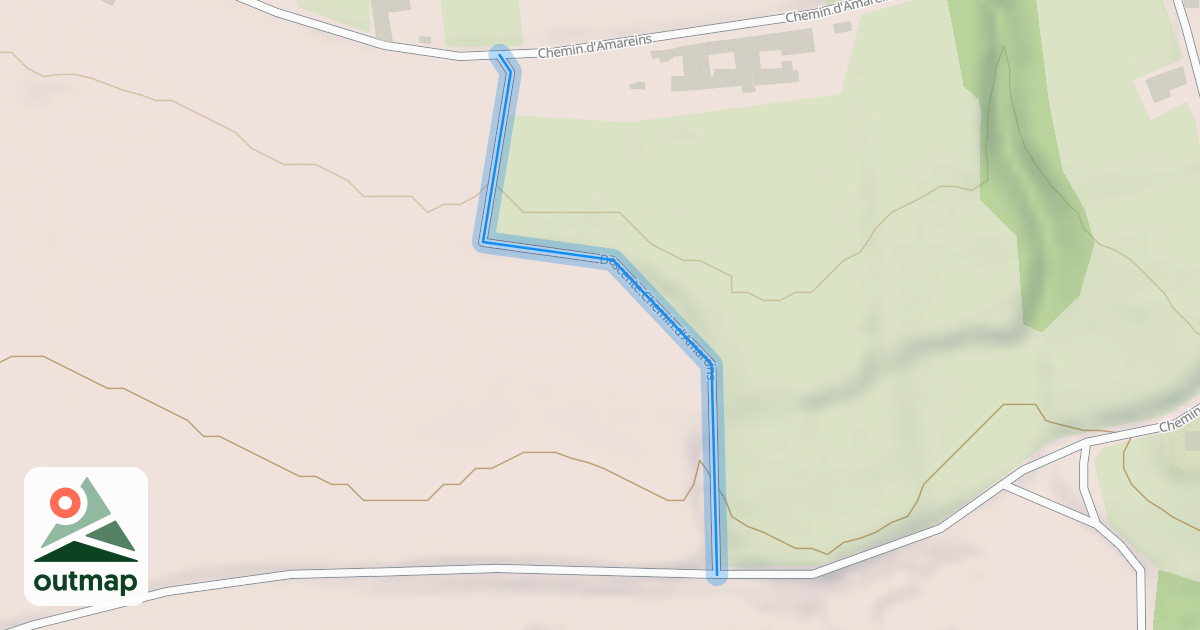 Map of Descente Chemin d'Amareins