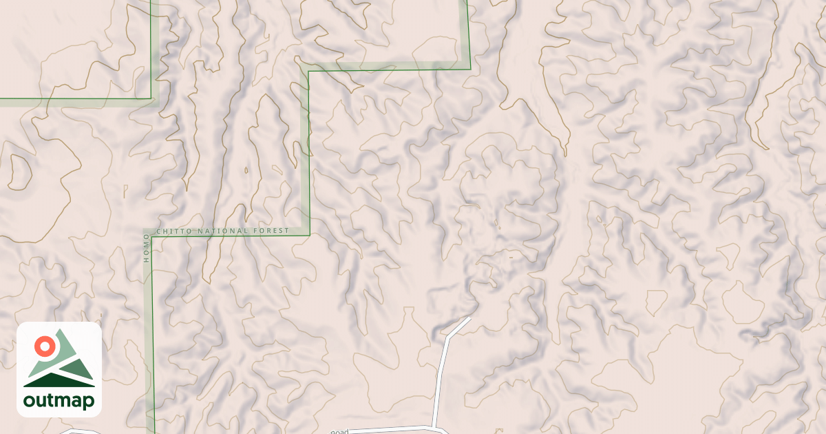 Map of USFS National Forest System Roads {C0FB0BF9-828F-4FF2-B3CA-C2680E8A1077}