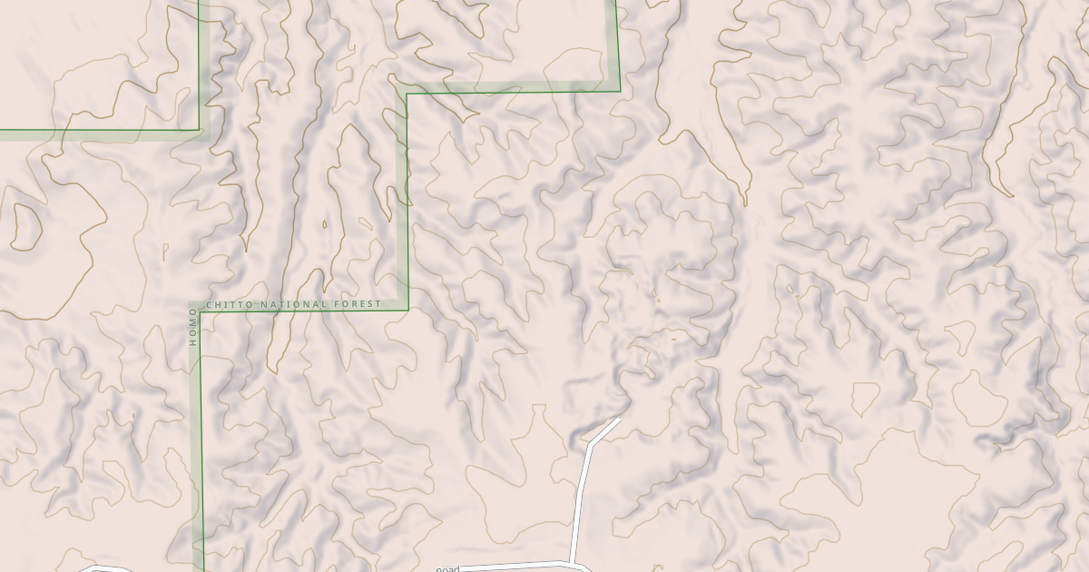 Map preview of USFS National Forest System Roads {C0FB0BF9-828F-4FF2-B3CA-C2680E8A1077}