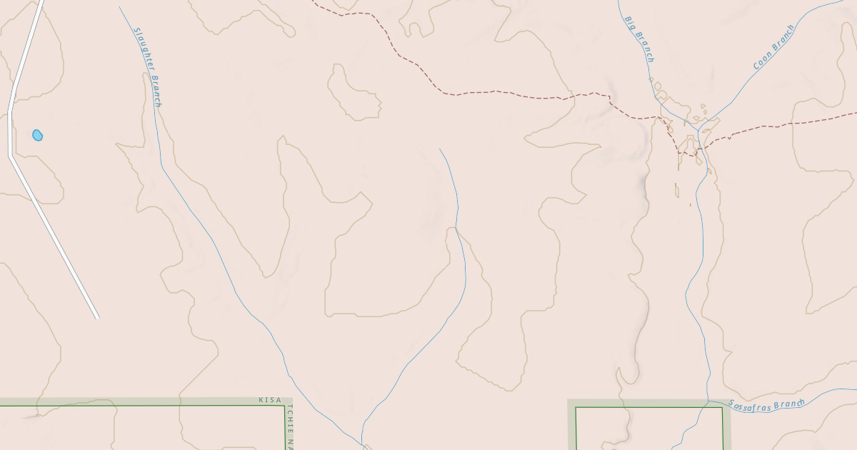 Map preview of USFS National Forest System Roads {4B763262-1D4E-47D6-AFDE-4D38D3FE4BDC}
