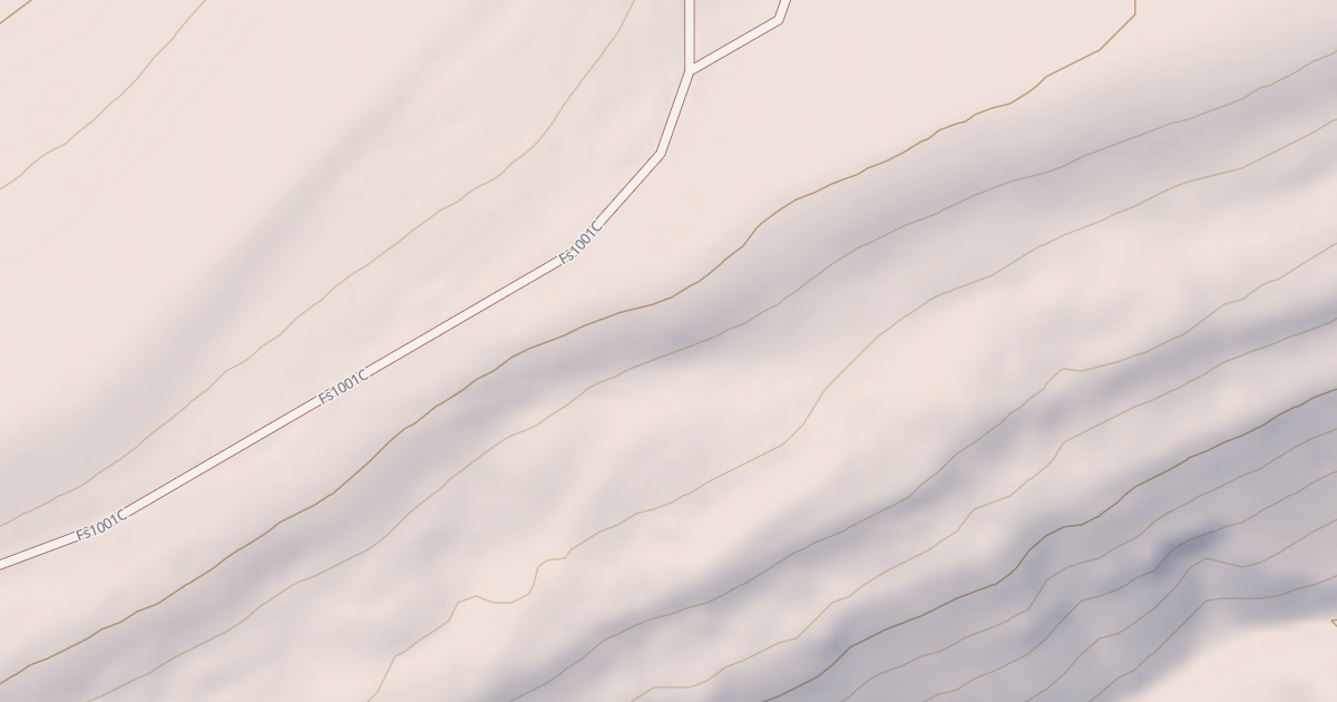 Map preview of USFS Motor Vehicle Use Map Roads {CC70BD72-8DB4-4D9E-894A-D9AC18CA093F}