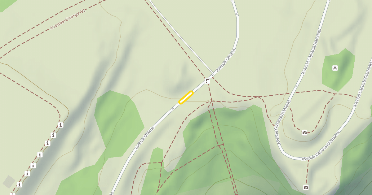 Map preview of Avenue Ontario