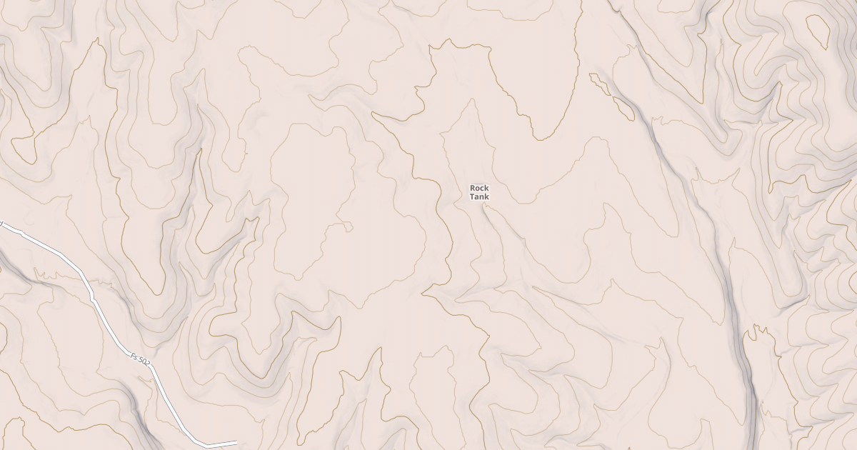 Map preview of USFS National Forest System Roads {FE0C3608-523A-49B1-A171-CFD6DB60F907}