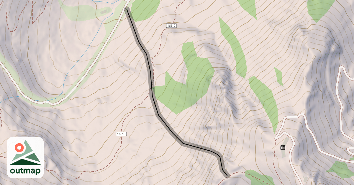Map of Dead Tree