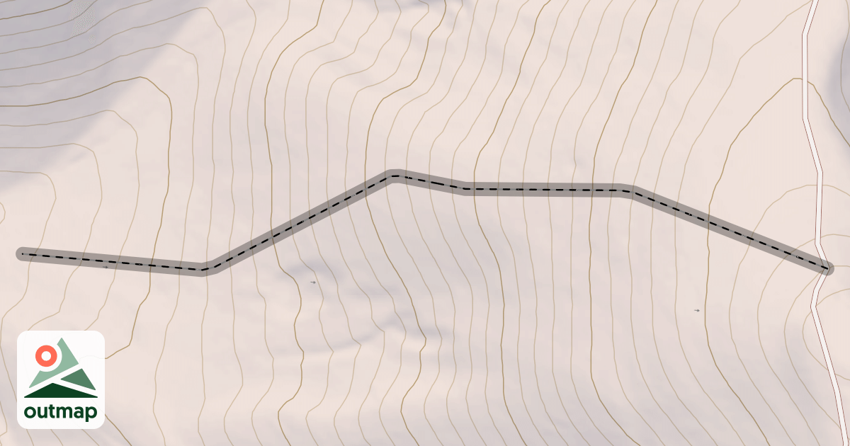 Map of Raintree