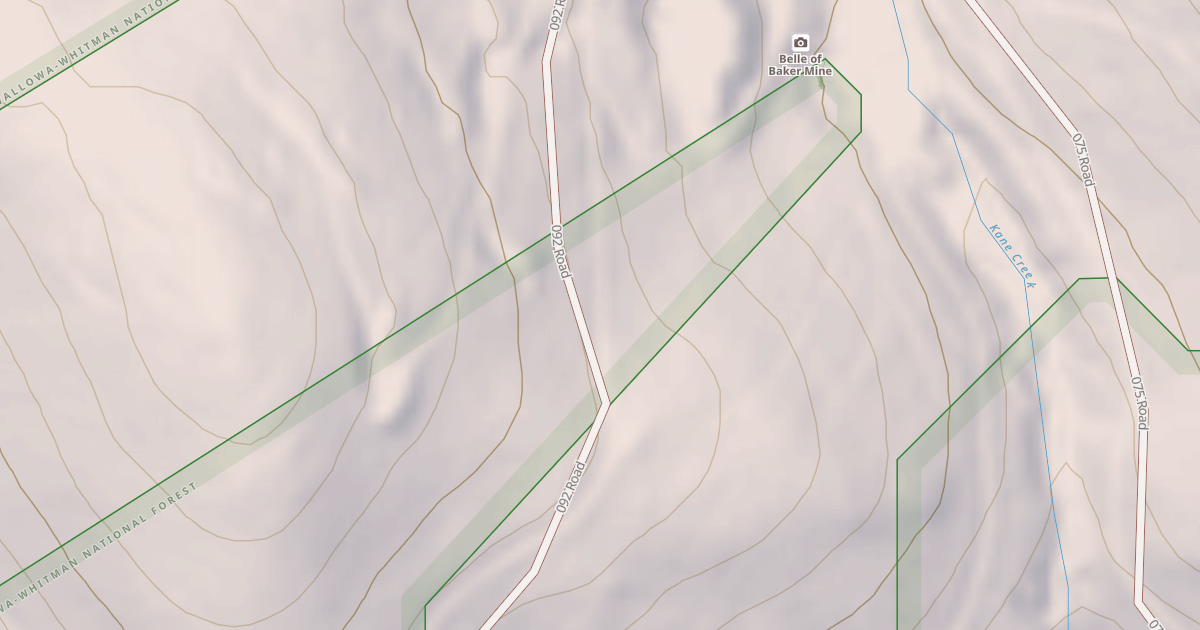 Map preview of USFS National Forest System Roads {8305AD80-2BF5-4CC4-A219-9624D0EECBCC}