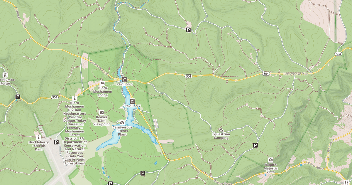 Map preview of Moshannon State Forest - Black Moshannon Snowmobile Trails