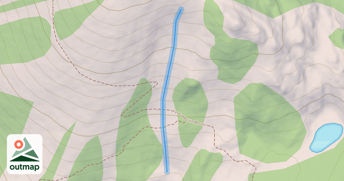 Map of Quickdraw