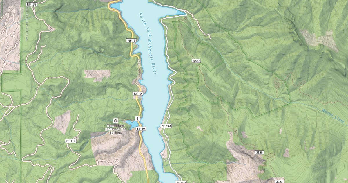 Map preview of EAST SIDE COUGAR RESERVOIR