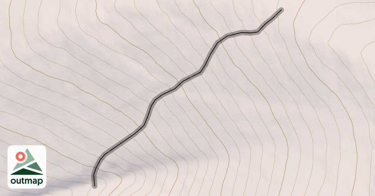 Map of Glacier Bear