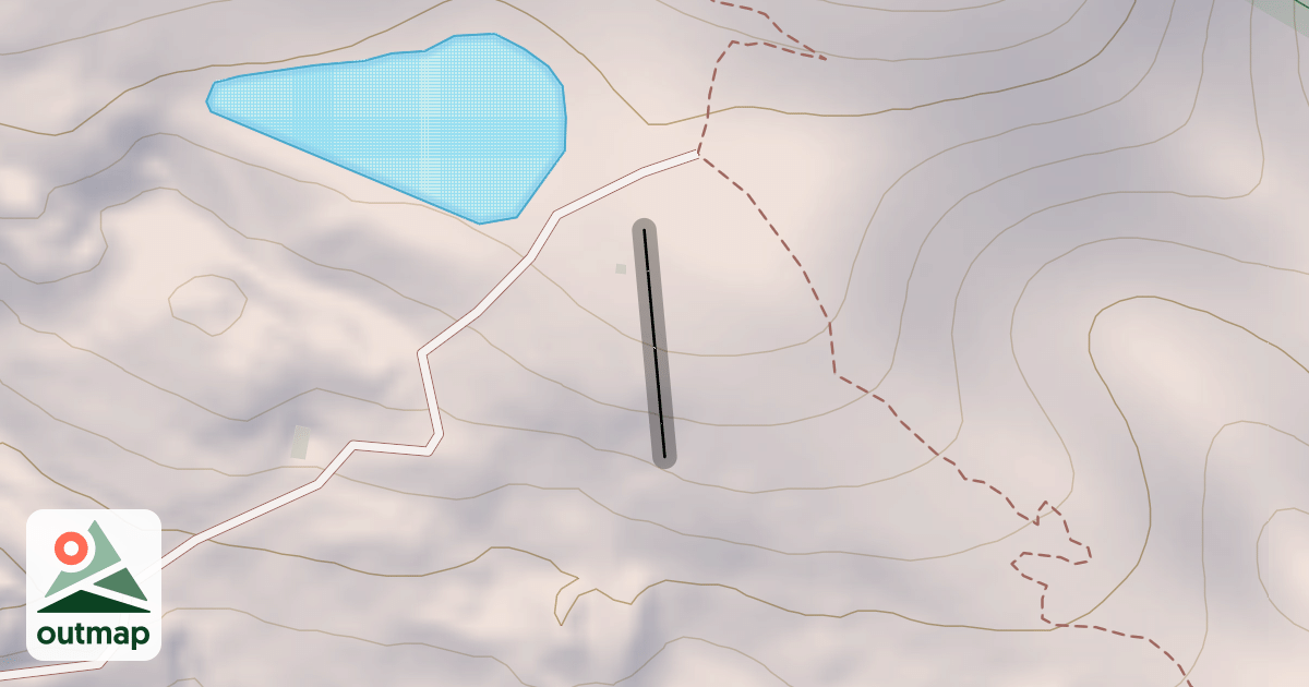 Map of Race Arena