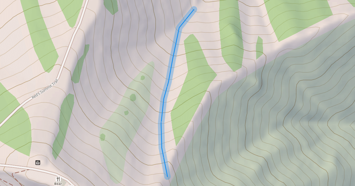 Map preview of Shauna's